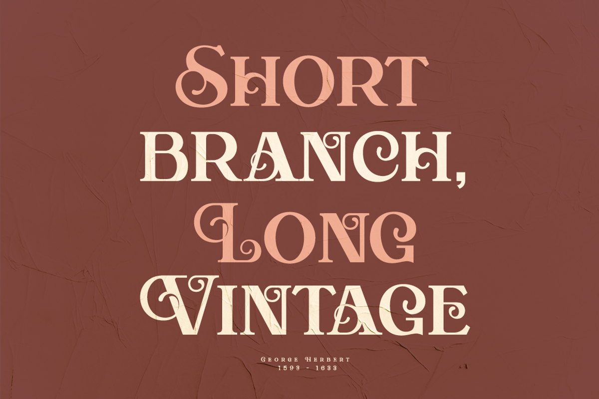 Aesthic Classic, a Serif Font by Joko Setiono (Photo 2 of 10)