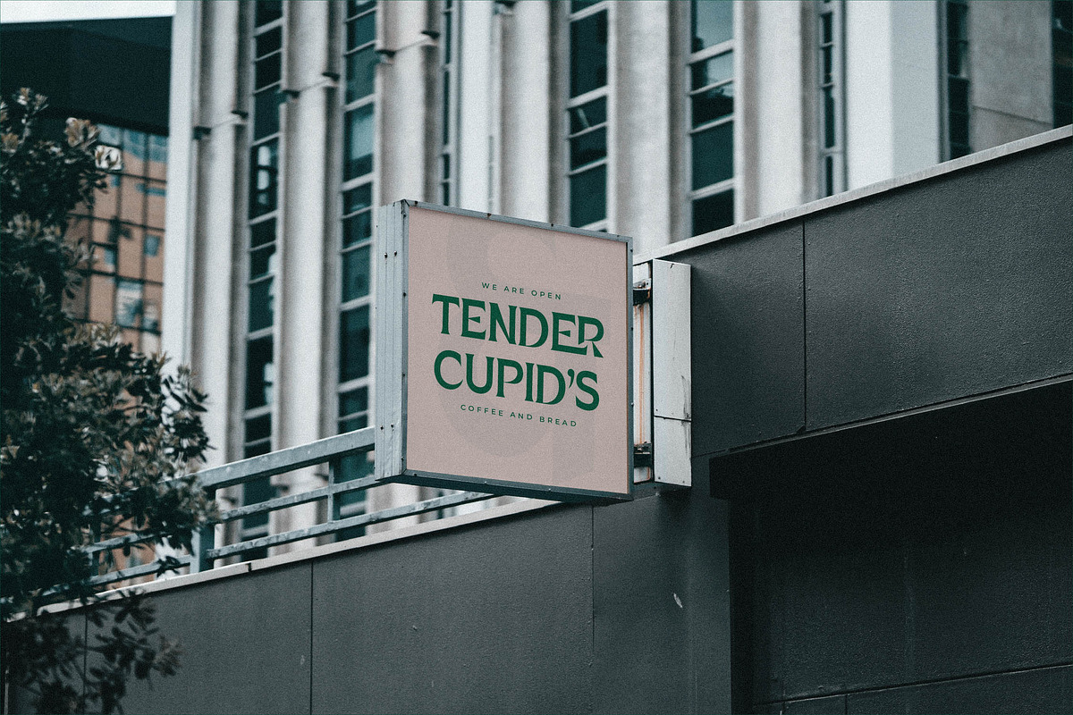 Porladek Display Serif Font, a Serif Font by Storytype Studio (Photo 10 of 15)
