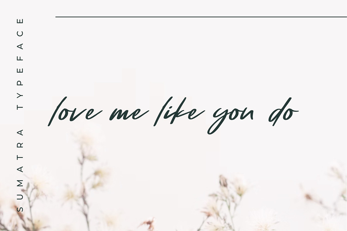 Sumatra - Beauty Handwritten Script, a Handwritten Font by TrimStudio (Photo 5 of 11)