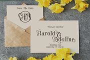 Fashory Vilago Font, a Serif Font by TypeClassHeroes (Thumbnail 5 of 10)