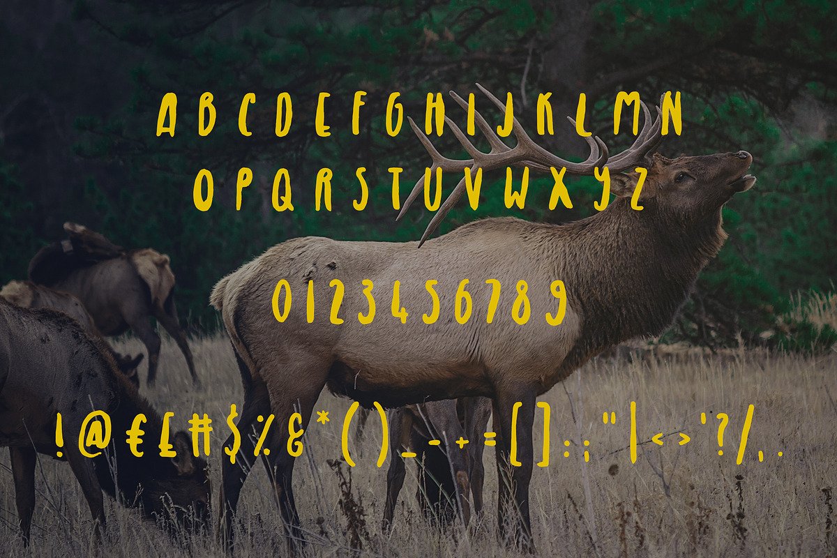 Royal Elk Font preview 2