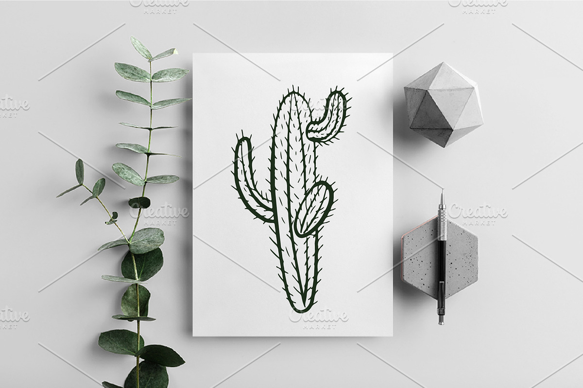 Cactus set, a Background Graphic by IPVector (Photo 6 of 8)