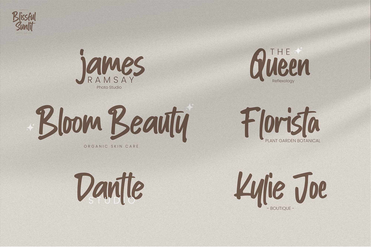 Blissful Sunlit – Quick Brush Font, a Handwritten Font by Gassstype (Photo 8 of 8)