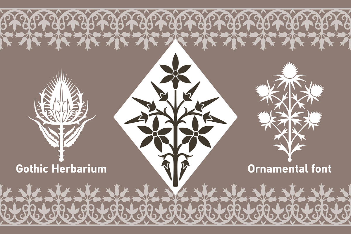 Gothic Herbarium, a Symbol Font by 2DTypo (Photo 1 of 4)