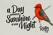 Roster Script + Extras (35% OFF), a Script Font by Fenotype (Thumbnail 19 of 20)