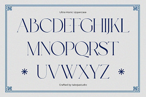 Ultra Monic Serif Display