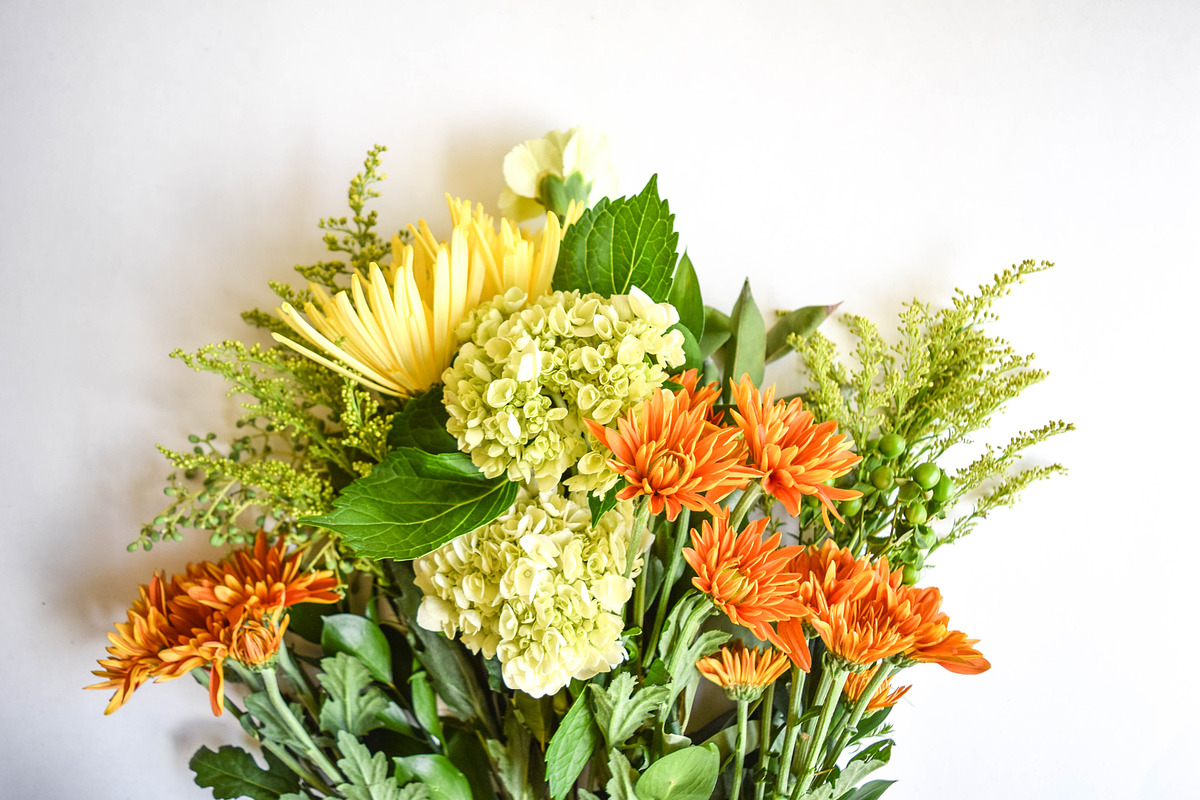 Fall Holiday Photo Bundle, a Graphic by Hudson Farmhouse (Photo 5 of 7)