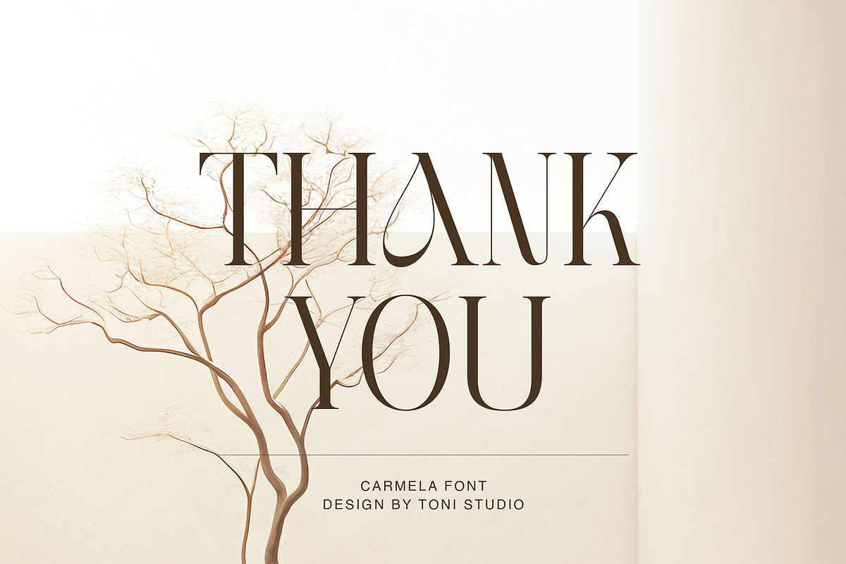 Carmela-Modern and elegant typeface, a Serif Font by ToniStudio (Photo 10 of 10)