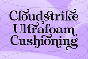 Dopamine Seekers - Stylish Serif, a Serif Font by Variatype (Thumbnail 5 of 8)