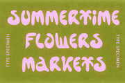 Display Font Collection, a Slab Serif Font by Tropical Type (Thumbnail 8 of 46)