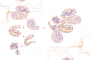 Snake Hydrangeas Garden Clipart, a Decorative Illustration by Shabbypie (Thumbnail 13 of 20)