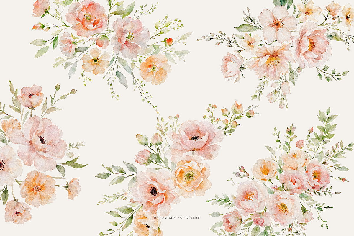 Soft Peach Watercolor Floral Clipart, a Decorative Illustration by Primrose Blume (Photo 3 of 6)