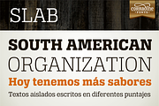 Alianza Slab, a Slab Serif Font by Corradine Fonts (Thumbnail 3 of 7)