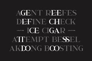 Garcedo Serif Font Triple Pro