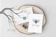 Moths. Watercolor set., an Illustration by Noli Molly Store (Thumbnail 6 of 8)
