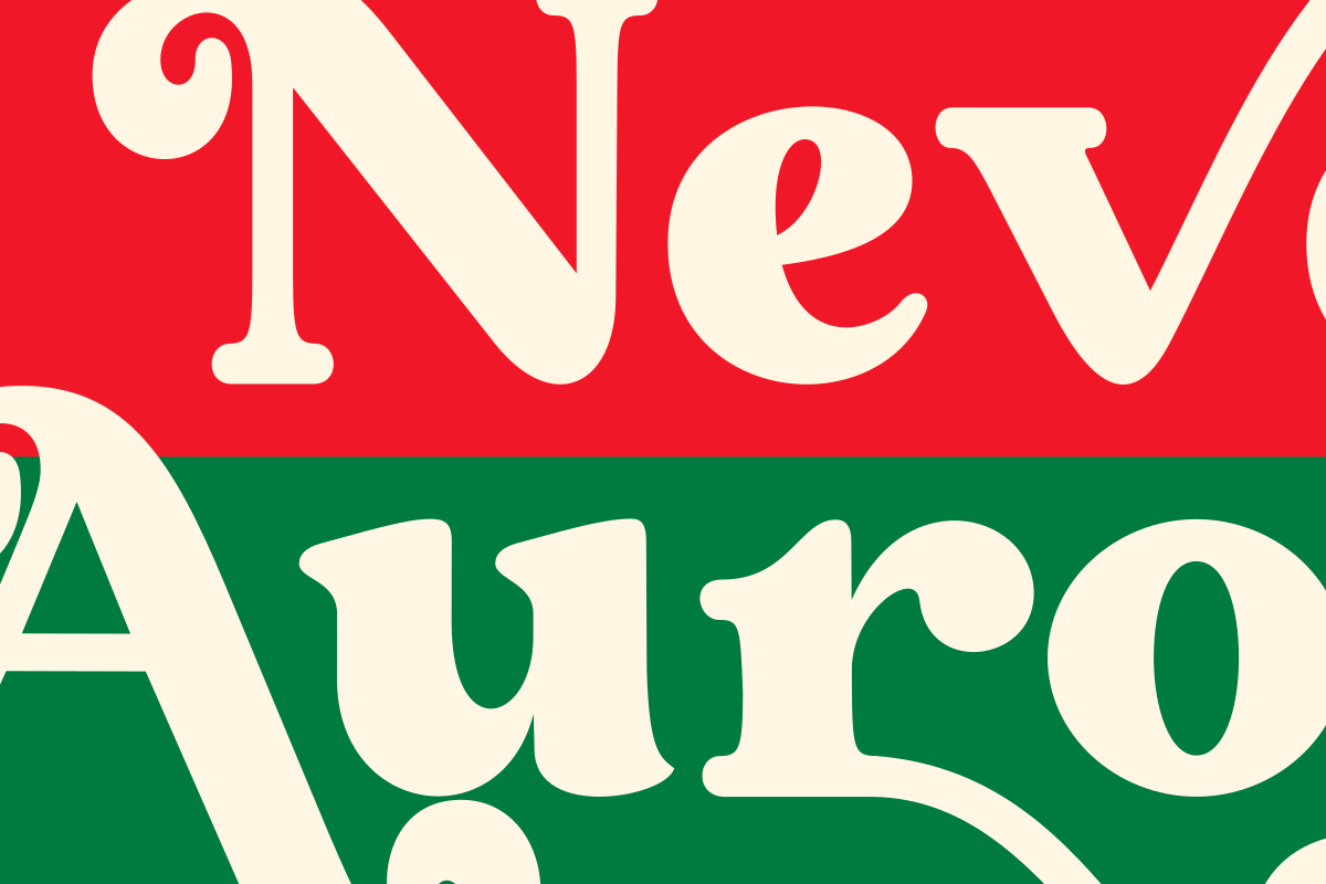 Never Aurora, a Serif Font by zaaintype (Photo 4 of 11)