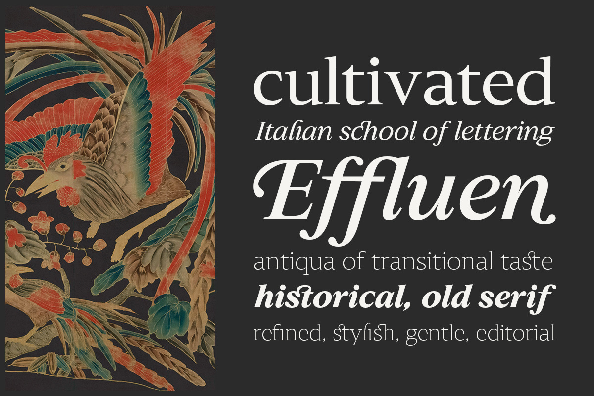 Slingera - Display Serif, a Serif Font by Attract Studio (Photo 16 of 17)
