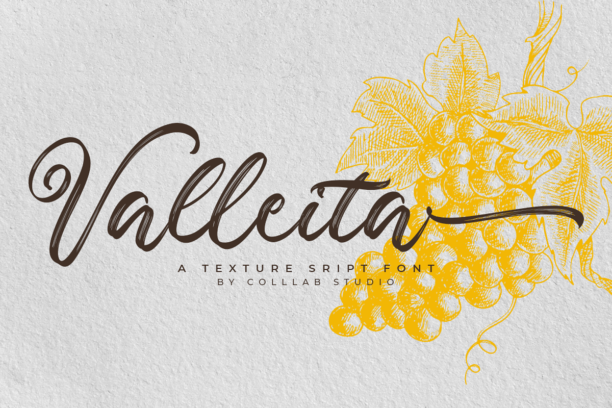 Valleita Script, a Script Font by Colllab Studio (Photo 1 of 19)