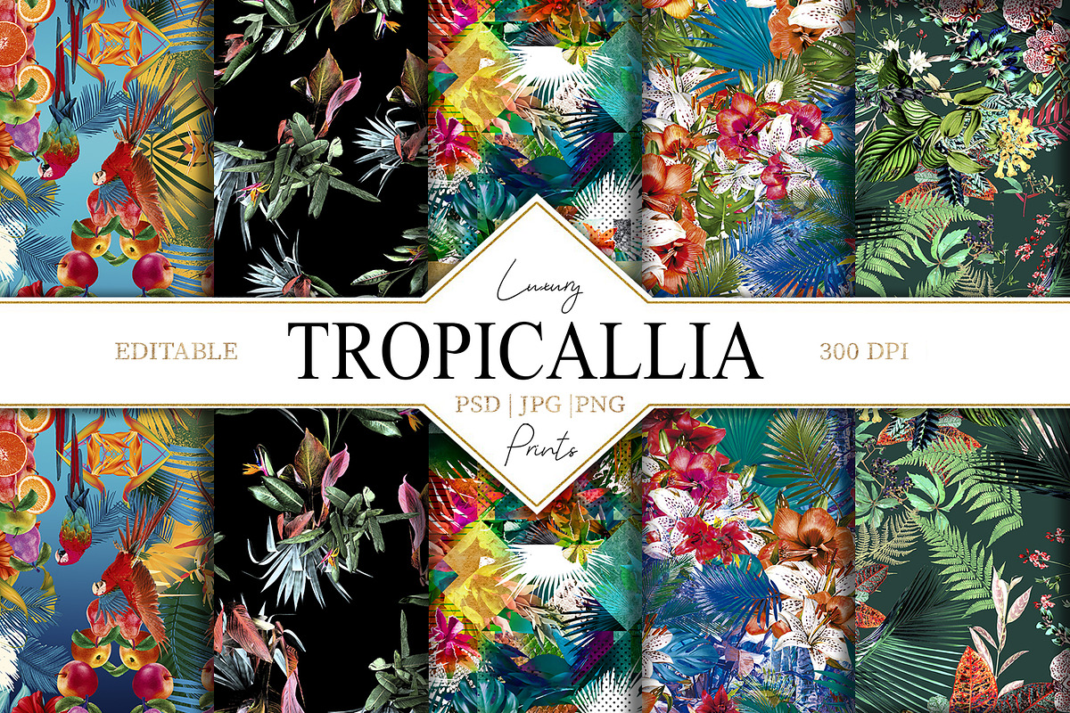 Tropicallia, a Pattern Graphic by Luiz da Rolt Grathwohl (Photo 1 of 13)