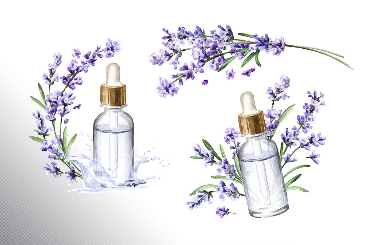 Lavender Mood, a Decorative Illustration by Daria Ustiugova (Photo 10 of 14)