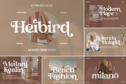 SALE! Mega Bundle 50+ Modern Font!, a Serif Font by Storytype Studio (Thumbnail 8 of 53)