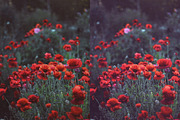 25 Nature Photoshop Actions, an Action Add-On by Bato (Thumbnail 6 of 9)