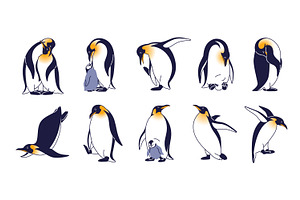 King penguins set + seamless pattern, an Animal Illustration by PaperTrident