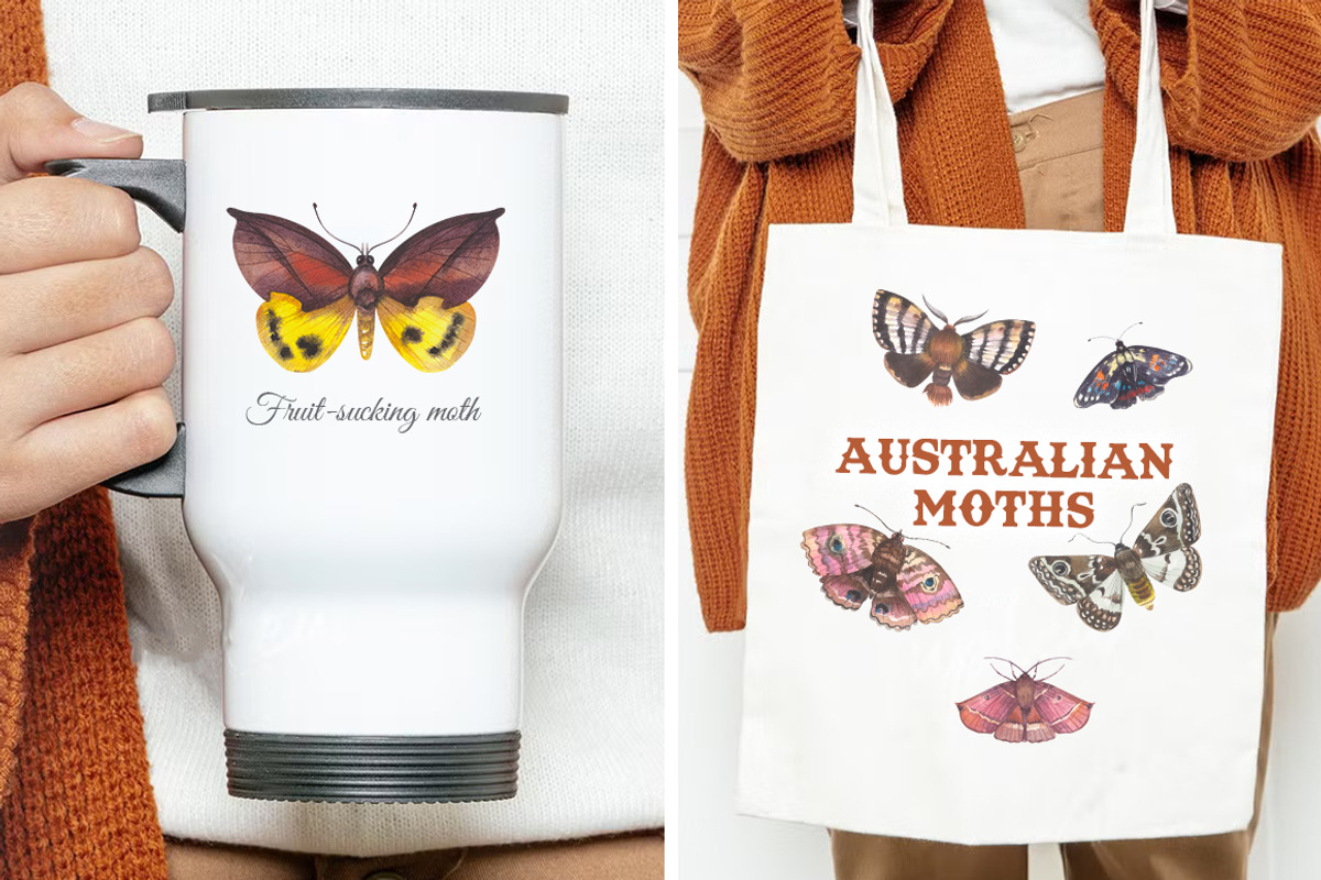 Australian Moths hand painted, an Animal Illustration by FITALARTSNEDIGI (Photo 8 of 8)