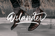 Wilderness, a Script Font by Megi Satyo Widodo (Thumbnail 7 of 8)