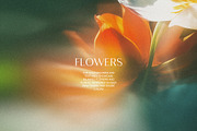 Light Flora Collection, a Background Graphic by NKate (Thumbnail 9 of 12)