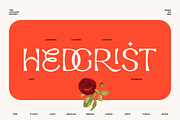 Opulent Ascend - 9 Font Family, a Sans Serif Font by Sans & Sons (Thumbnail 2 of 10)