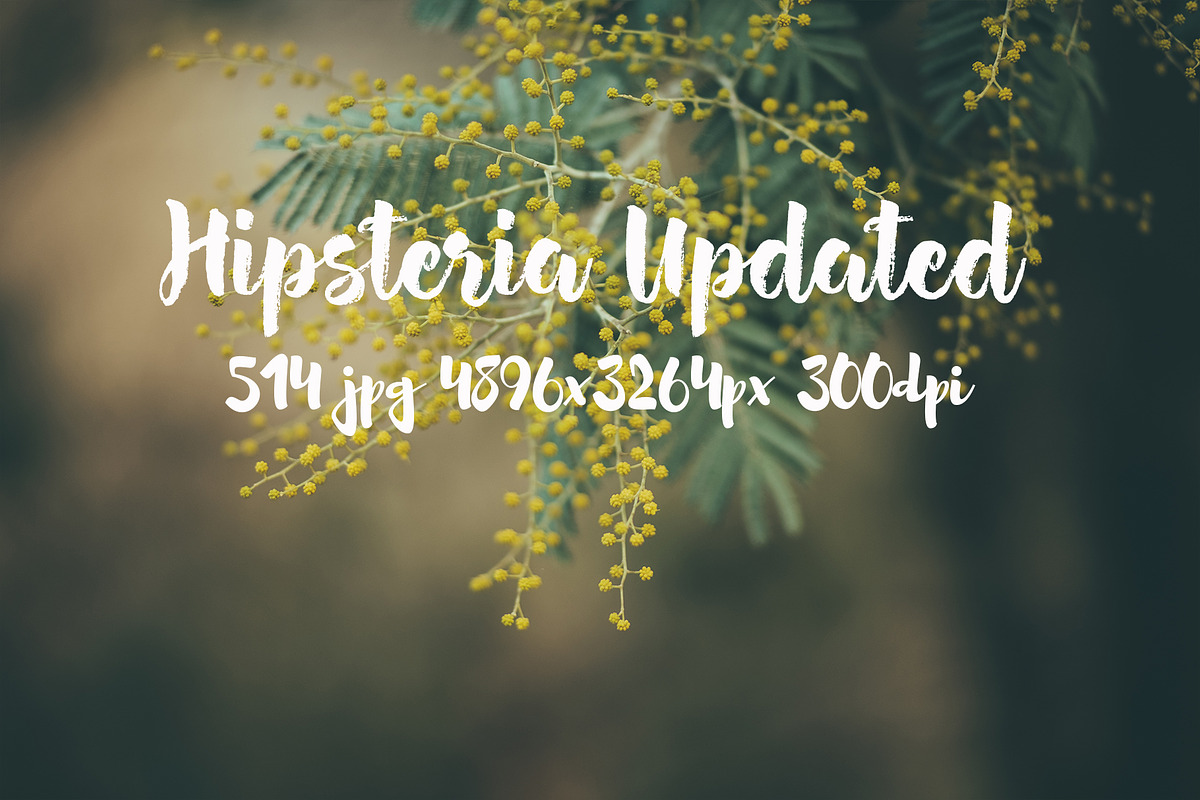 Hipsteria photo pack, a Templates & Theme by ApertureVintage (Photo 18 of 48)