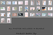Zen Patio Bundle, a Product Mockup by Paisley Barn Design (Thumbnail 4 of 4)