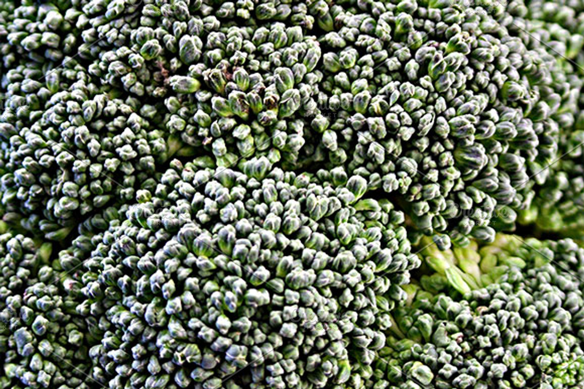 Broccoli