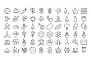 125+ Nature Vector Icons, an Outline Icon by Vectors Market (Thumbnail 3 of 3)