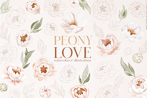 Peony Love Watercolor Patterns