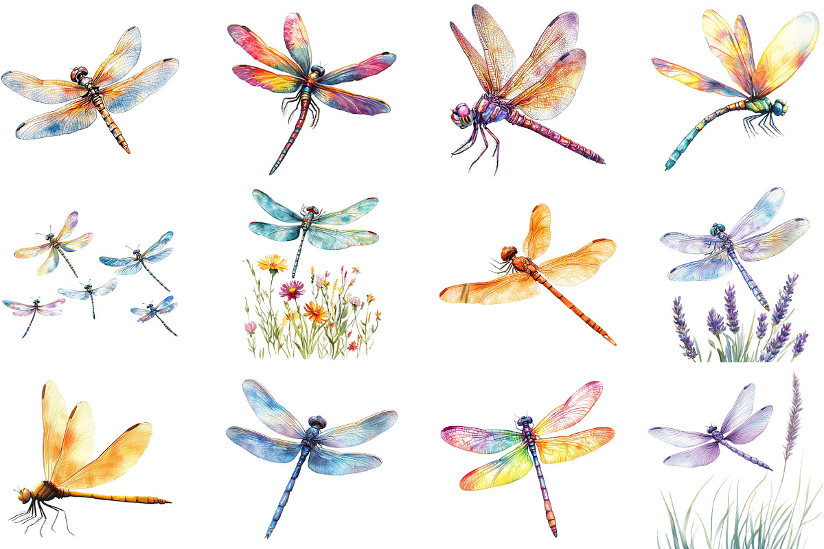 Watercolor Dragonfly Clipart, an Illustration by Pixels.Craft (Photo 3 of 5)