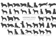 Herding dogs, Sheepdogs Silhouettes, an Animal Illustration by pet design shop (Thumbnail 7 of 13)