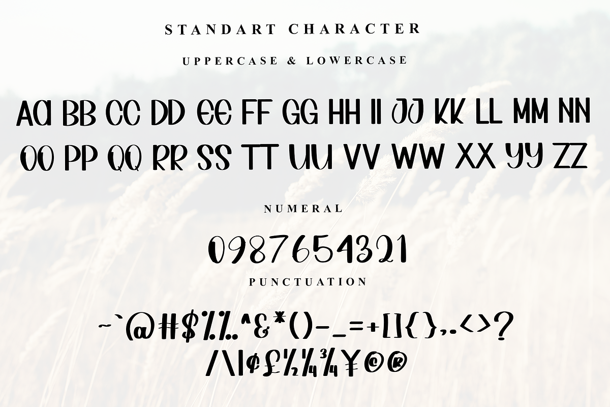 Planner, a Sans Serif Font by InermediaSTUDIO (Photo 7 of 7)