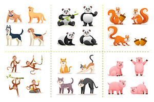 Cartoon Animals Collection