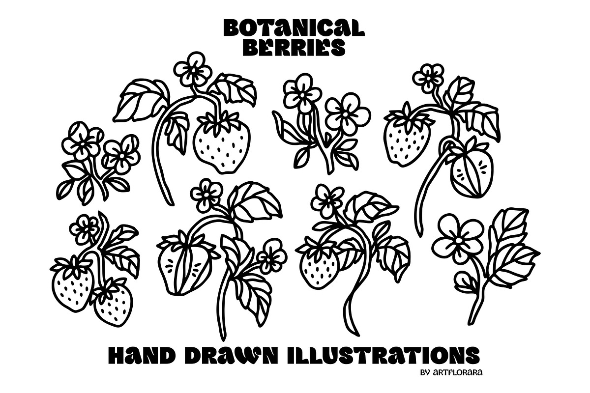 Hand Drawn BOTANICAL BERRIES, an Object Graphic by Artflorara (Photo 6 of 9)