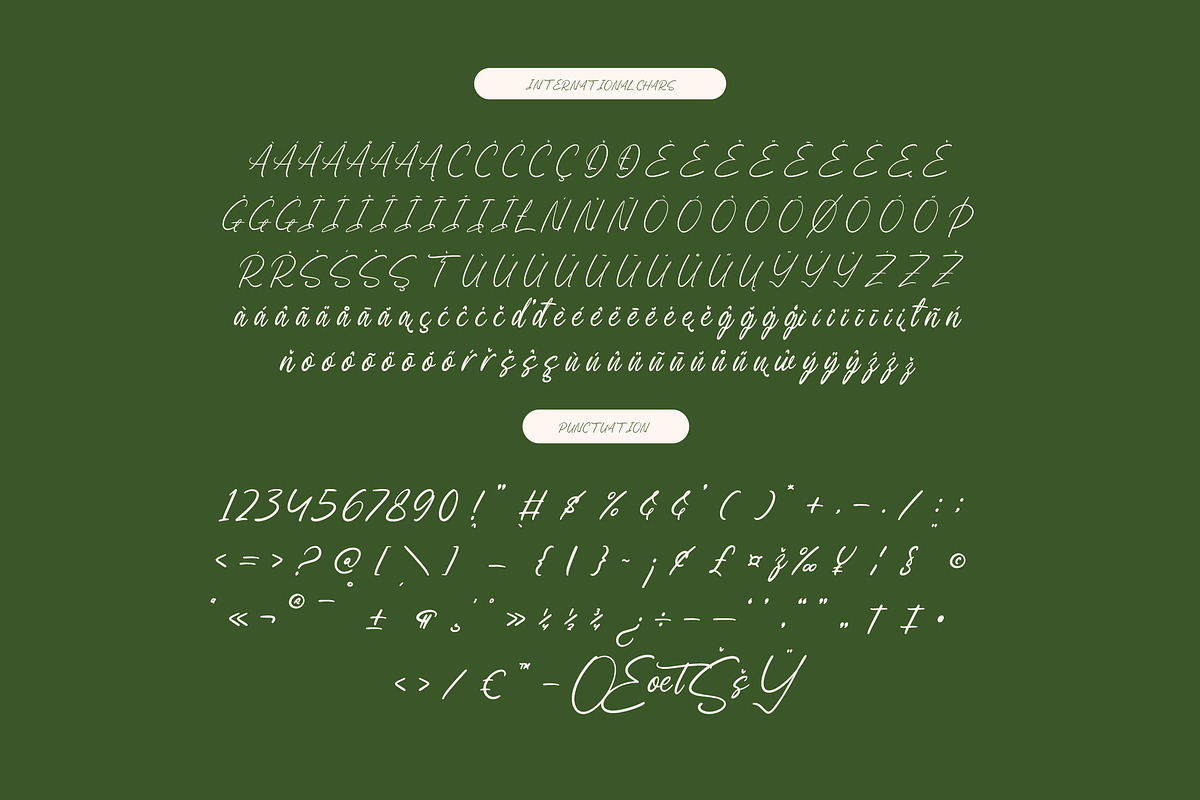 Vibrant Morning Modern Handwritten, a Script Font by Letterena Studios Script (Photo 10 of 15)