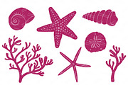Seashells Clipart in Bohemian, an Illustration by Amanda Ilkov (Thumbnail 4 of 5)