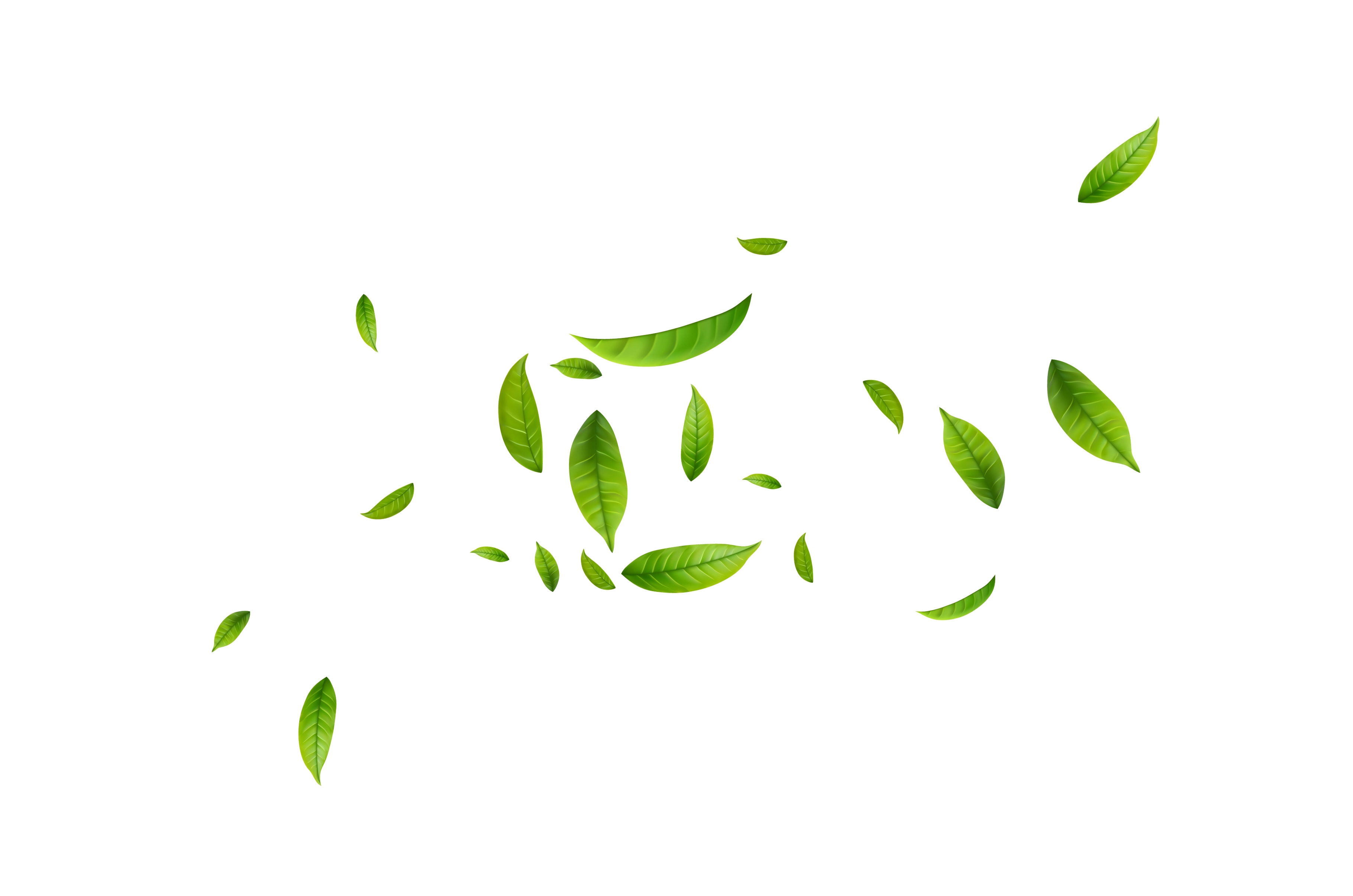 Green Floating Leaves, an Object Illustration by ModVector