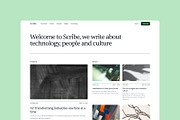 Scribe Blog Template · Framer, a Landing Page Template by Bryn Taylor (Thumbnail 1 of 5)