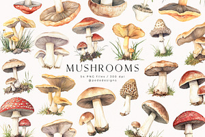 Watercolor Mushrooms, a Food Illustration by PeDe Designs