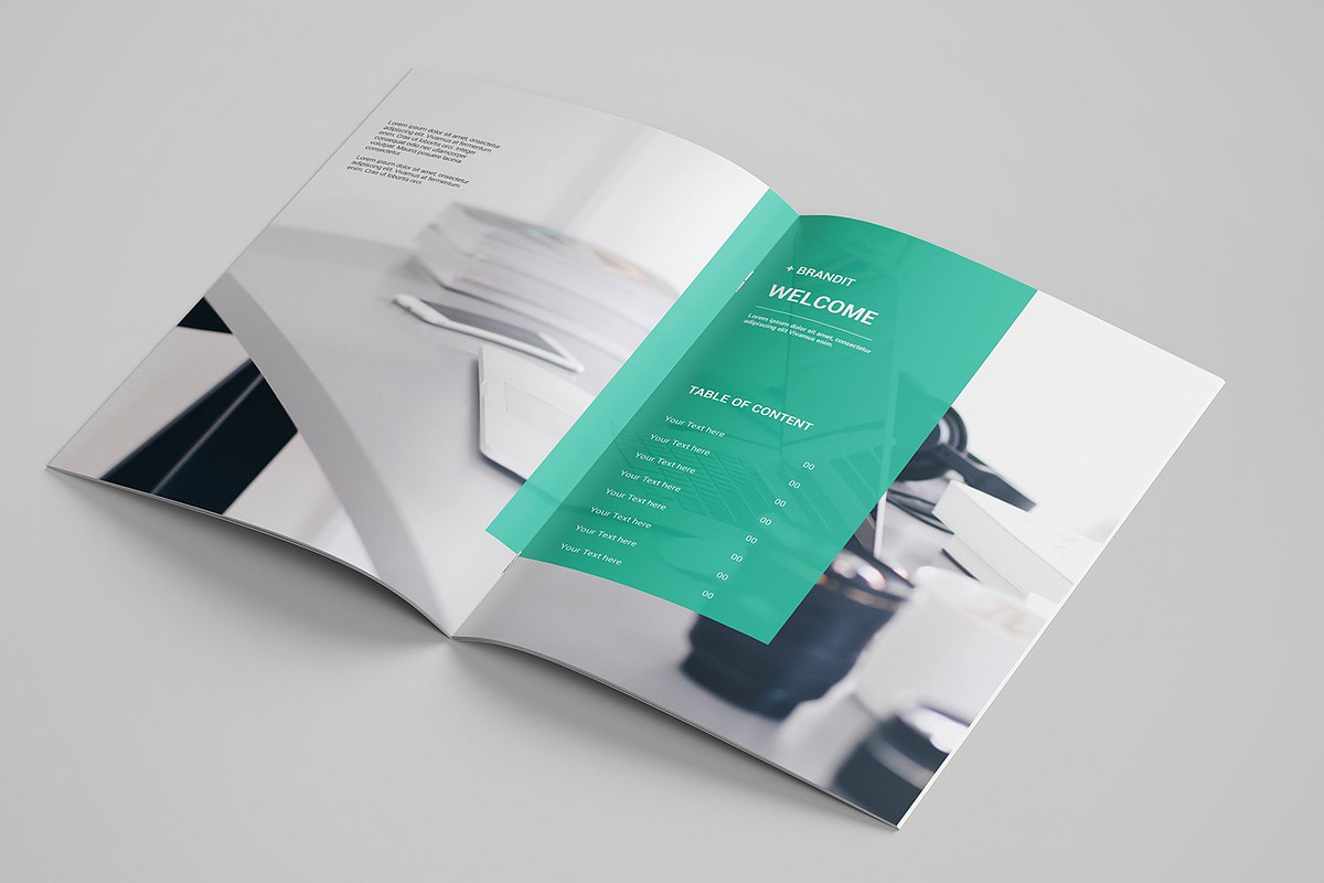 Business Proposal Template, a Brochure Template by Template Shop (Photo 2 of 7)