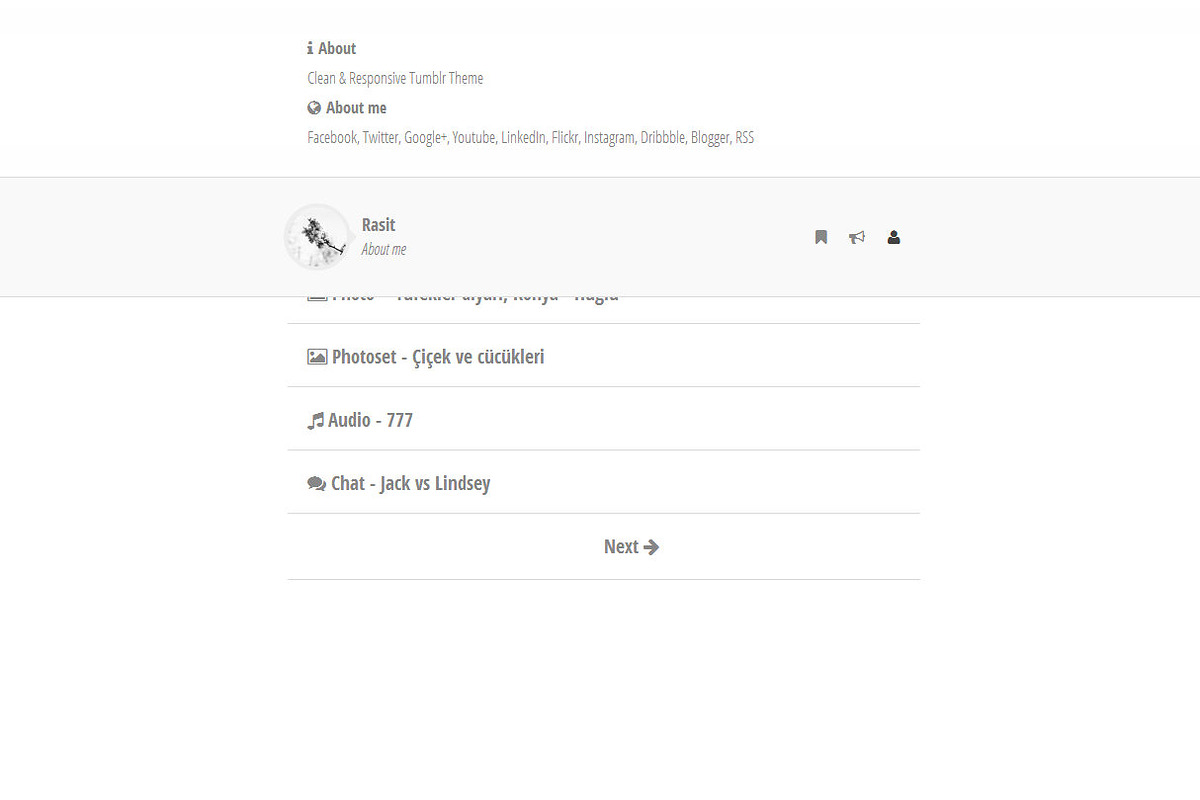 Rasit - Clean Tumblr Theme, a Websites & App Template by mselmany (Photo 5 of 5)