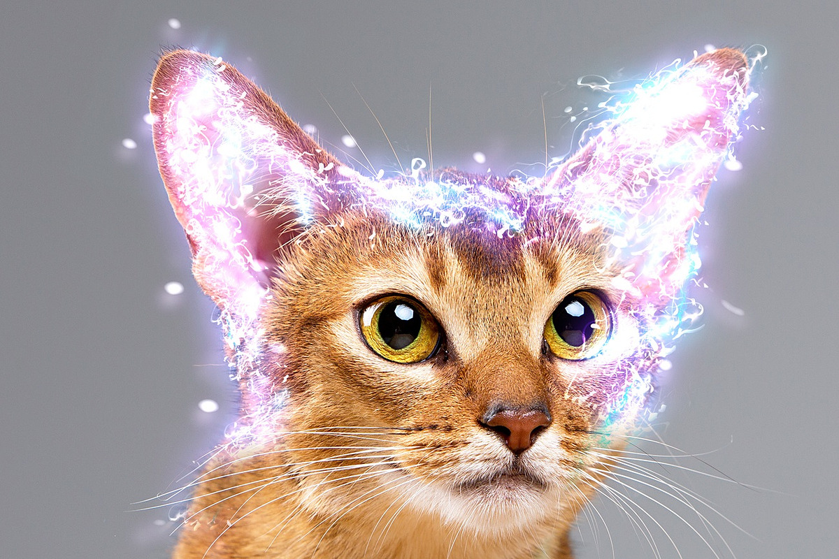 Electricity Photo Effect PS Action, an Action Add-On by MRI STUDIO (Photo 11 of 14)