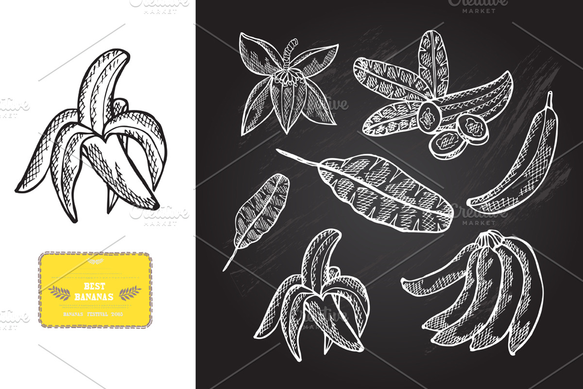 Hand Drawn Bananas, a Food Illustration by Sunset&Sea Design